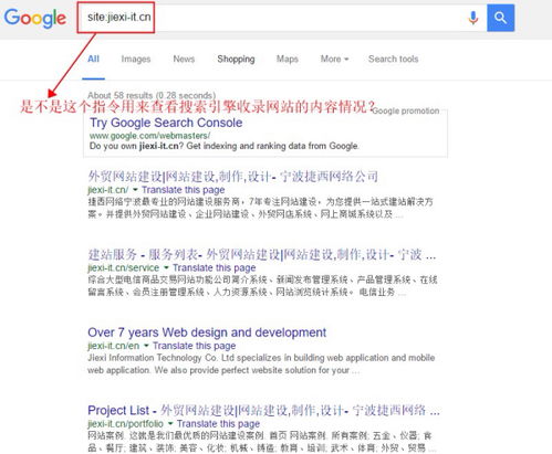 宁波外贸网站建设公司