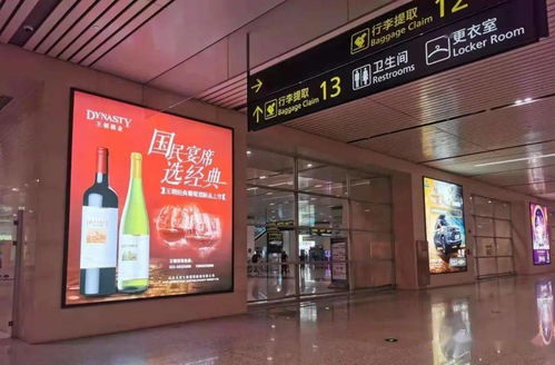 中国葡萄酒加速年