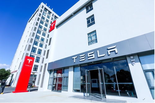 特斯拉上海超级工厂今年累计向全球用户交付32.3万辆车