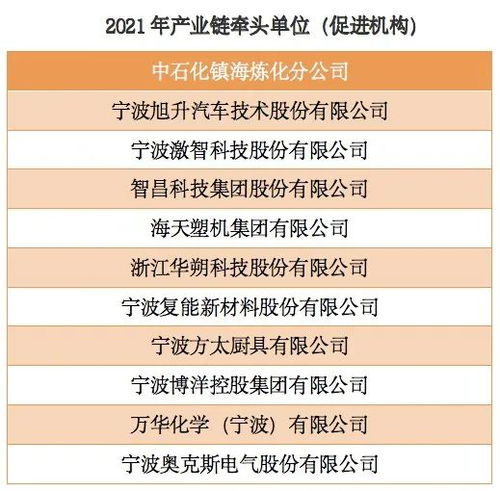这些企业将牵头宁波十大标志性产业链建设