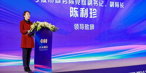 第六届中国产业互联网大会暨第三届宁波产业发展论坛在宁波隆重举行