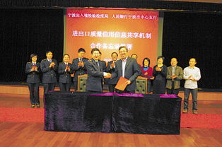 宁波企业网站建设 数字化时代的发展引擎